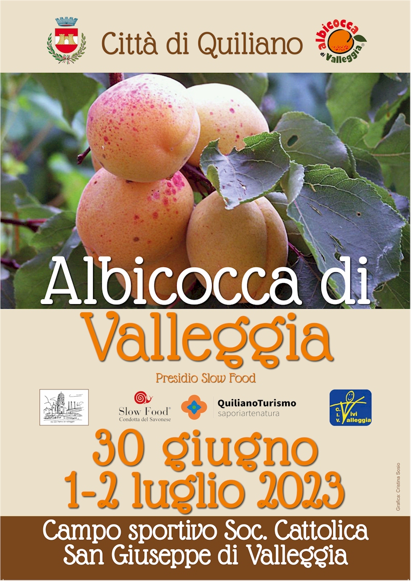 ALBICOCCA DI VALLEGGIA 2023