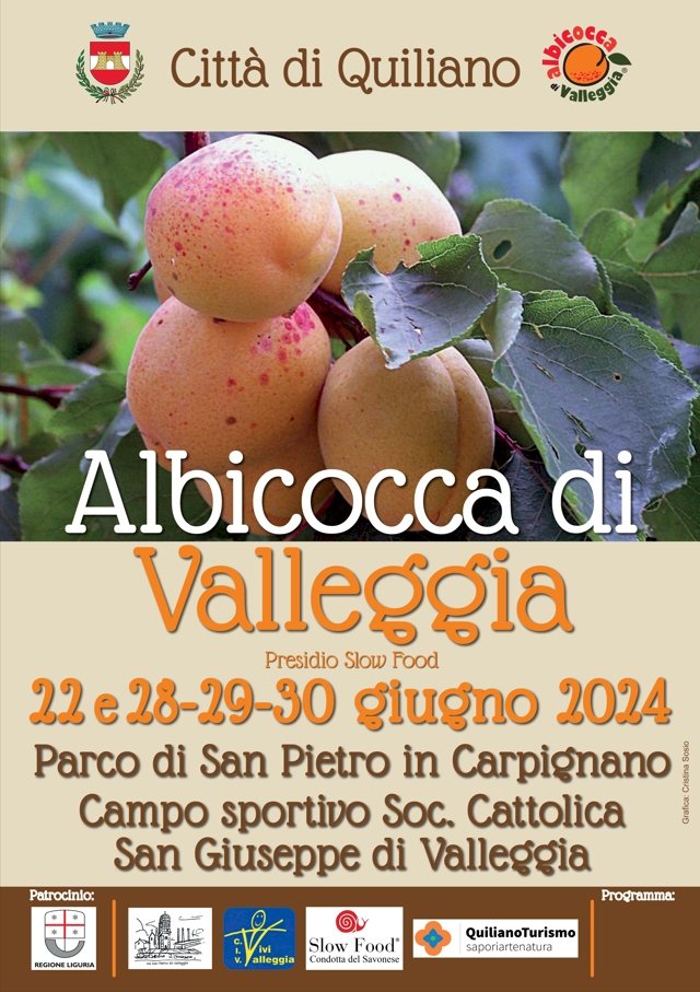 ALBICOCCA DI VALLEGGIA 2024